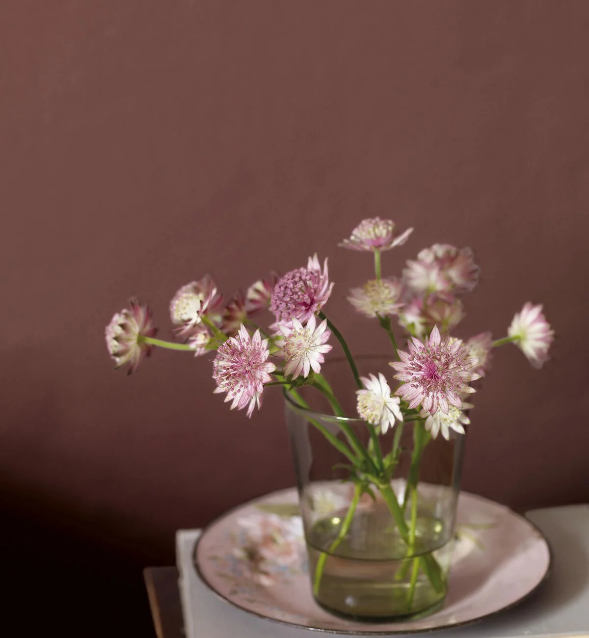Beadlet Paint - Image 3