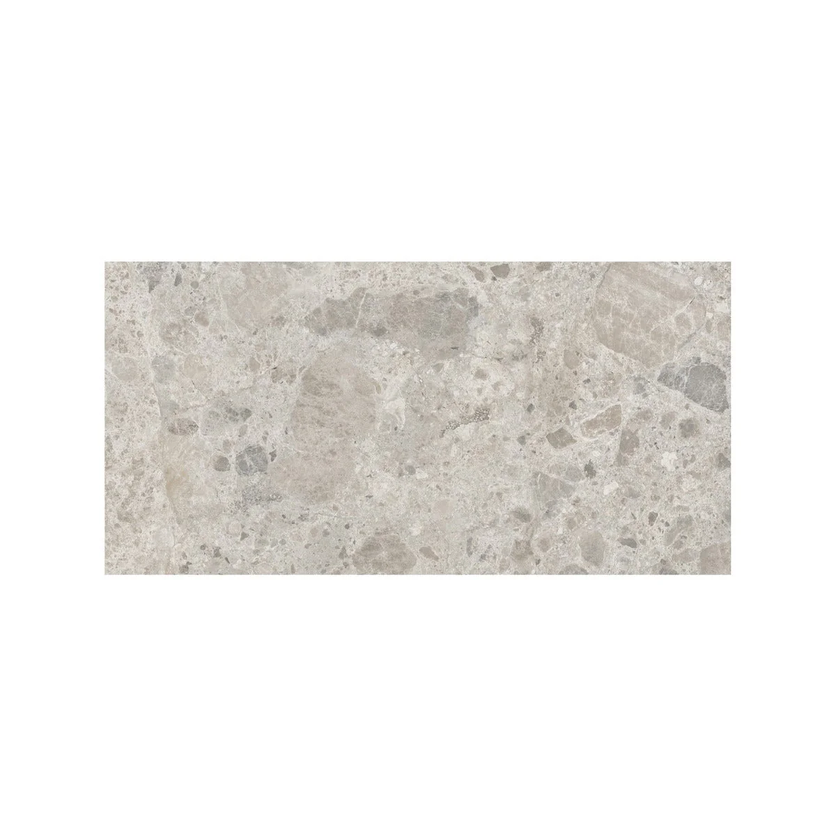 Ceppo Gris 60 x 120