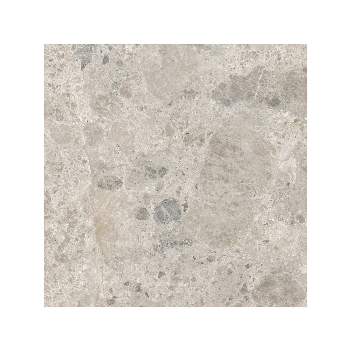 Ceppo Gris 60 x 60