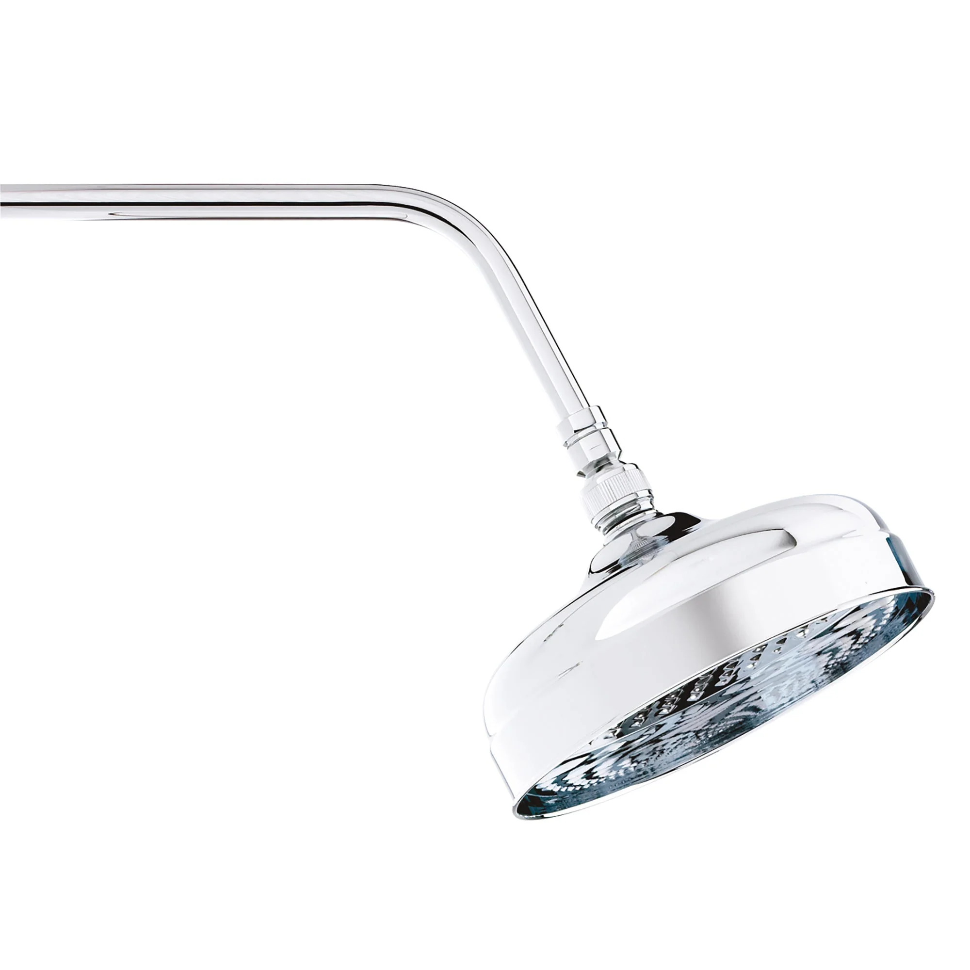Classic Medium Shower Rose 8"