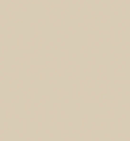 Ecru Paint