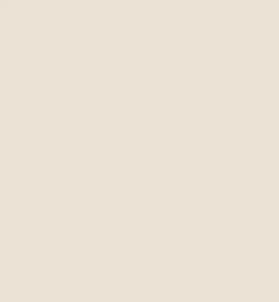 Gesso Paint
