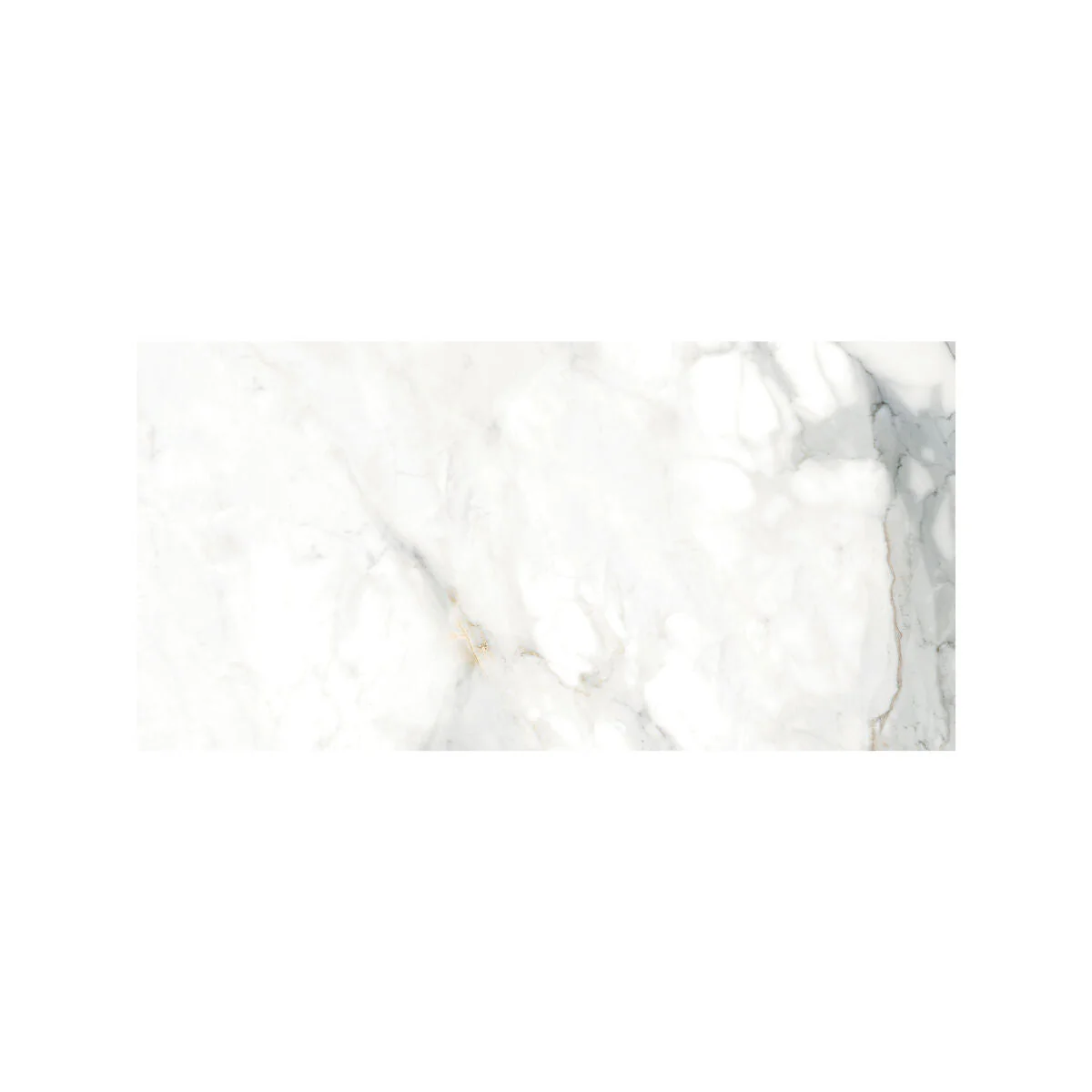 Lasa - 30 x 60 - Image 3