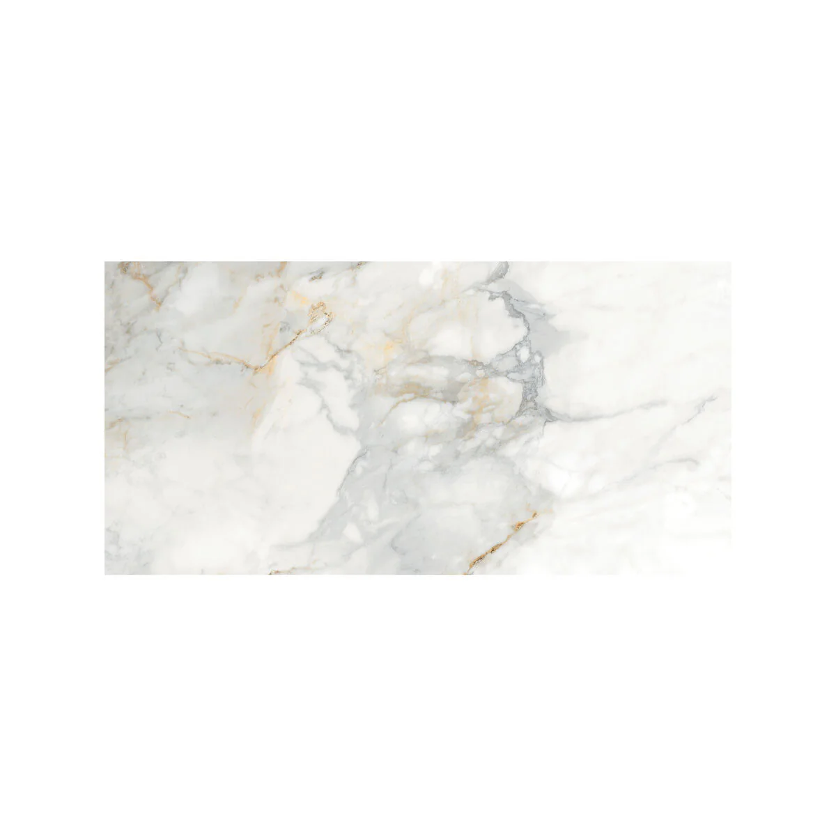 Lasa - 30 x 60 - Image 4
