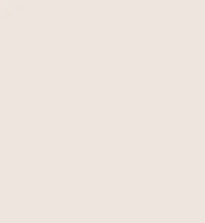 Light Umber Paint
