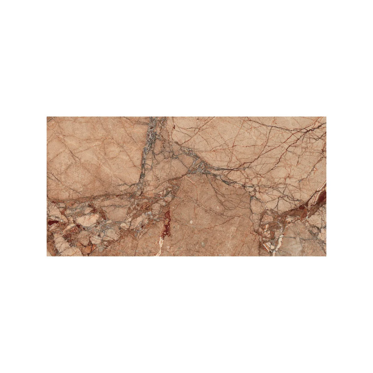 Lucca Breccia Pernice - 30 x 60 - Image 2