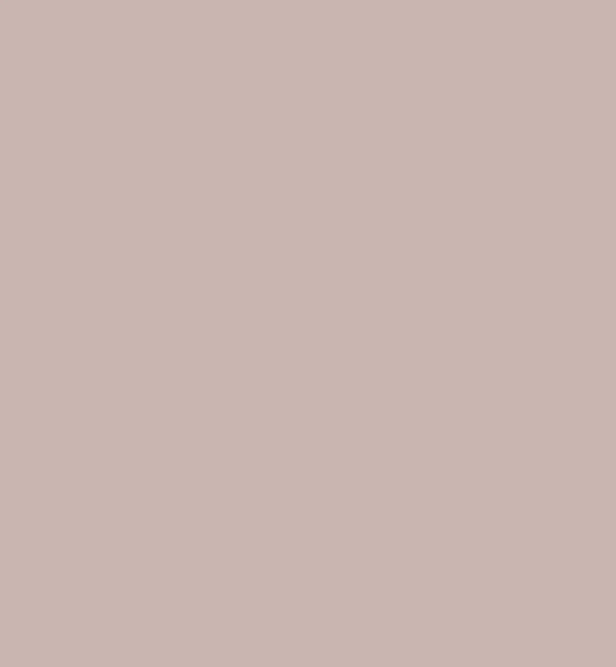 Masilla Paint