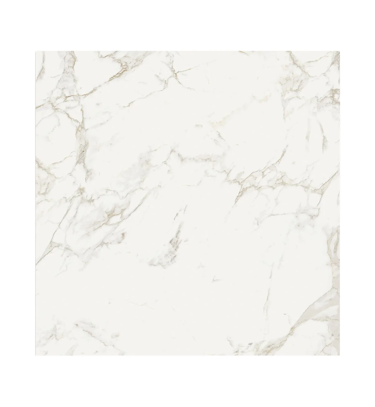 Milos White - 80 x 80