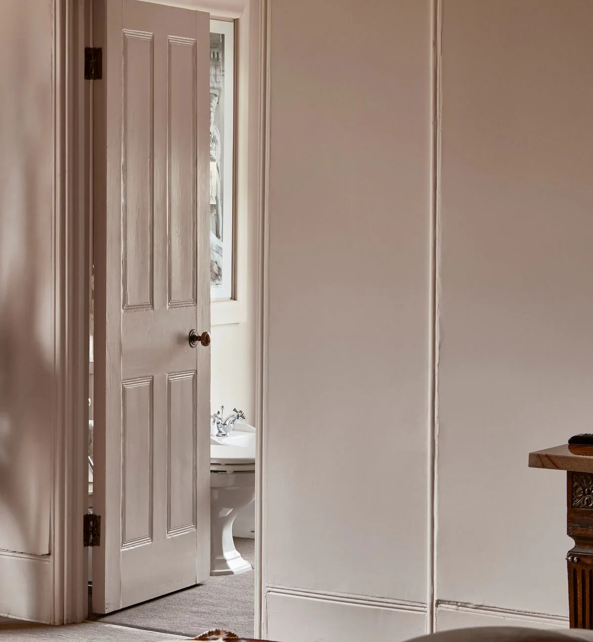 Morchella Paint - Image 2