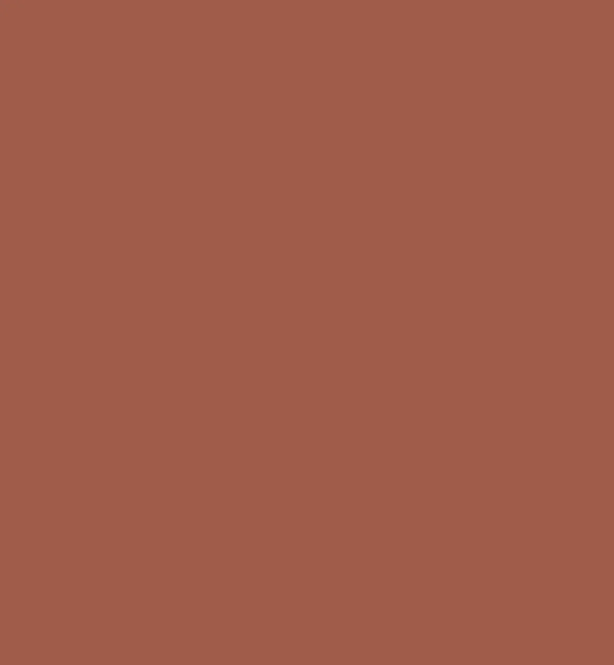 Mudstone Paint