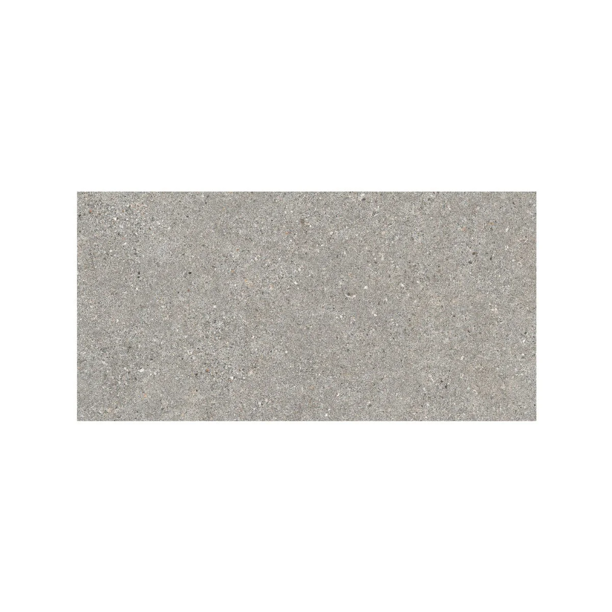 Piazza Grey 60 x 120 - Image 3