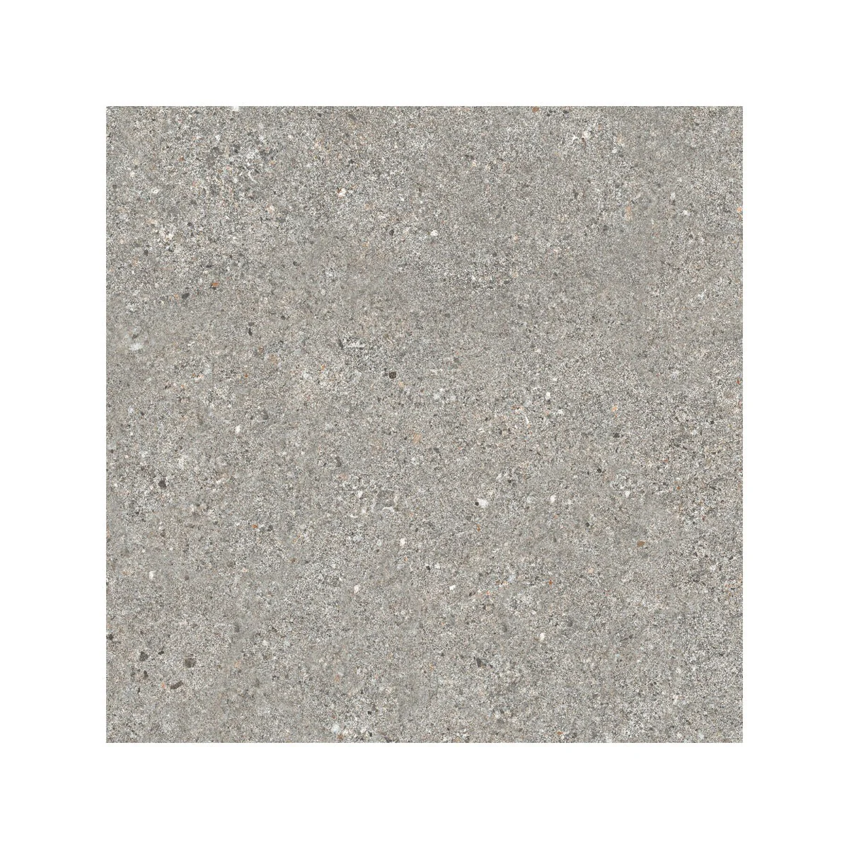 Piazza Grey 60 x 60