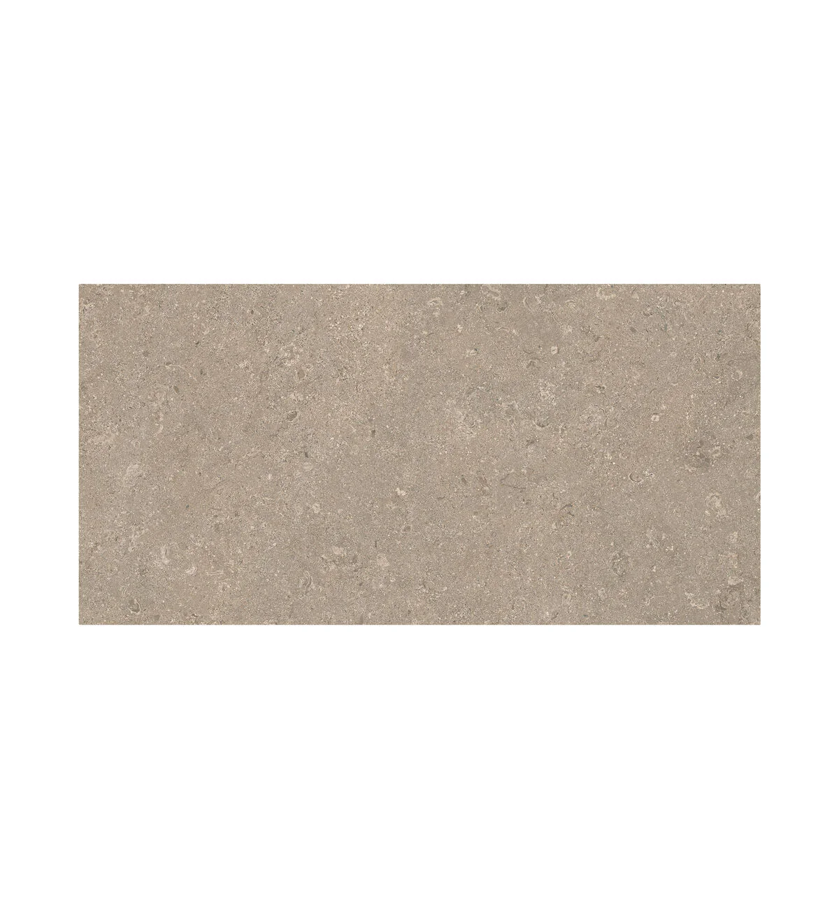 Portland Dorset Sand Tile - 30 x 60