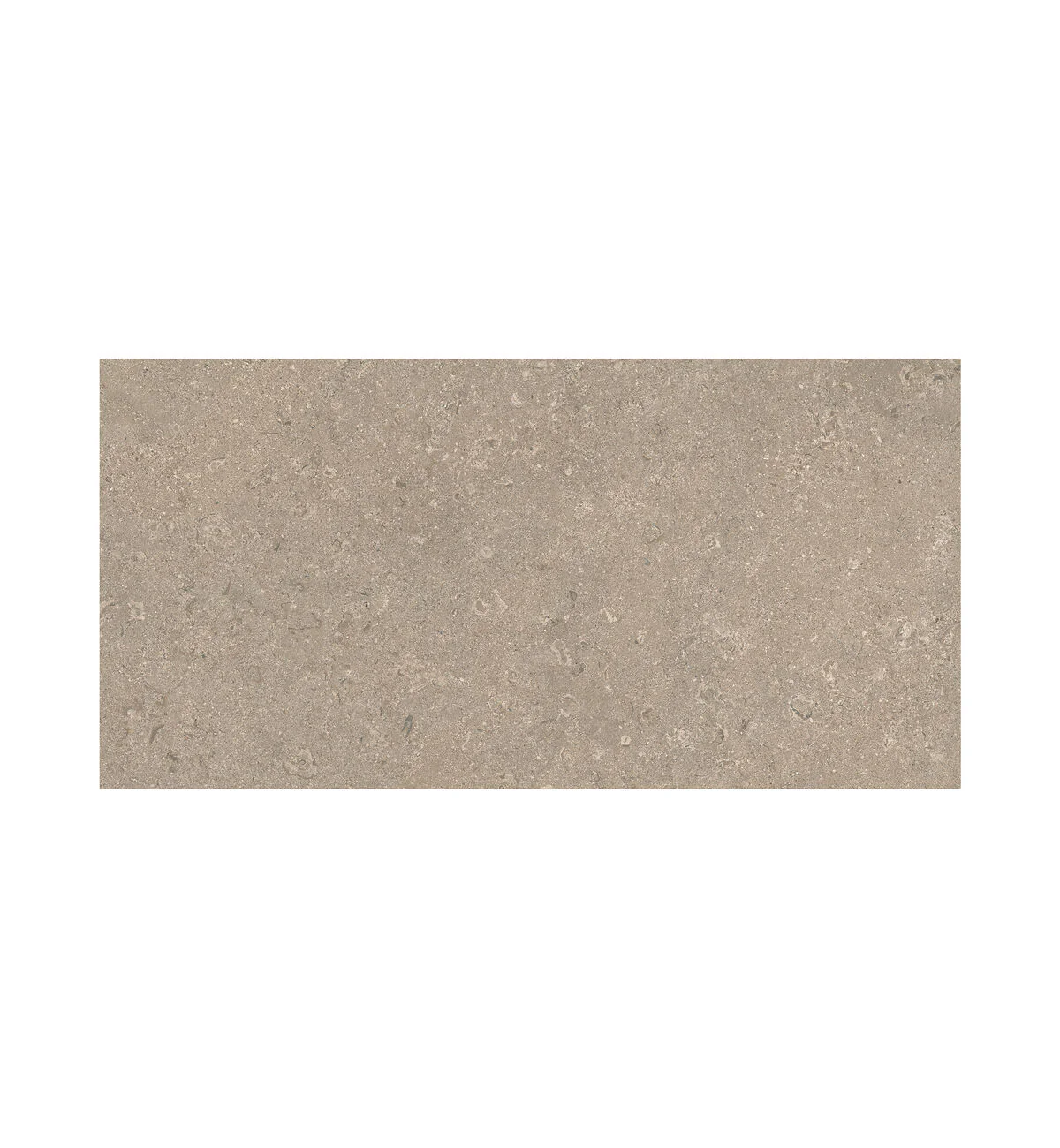 Portland Dorset Sand Tile - 60 x 120