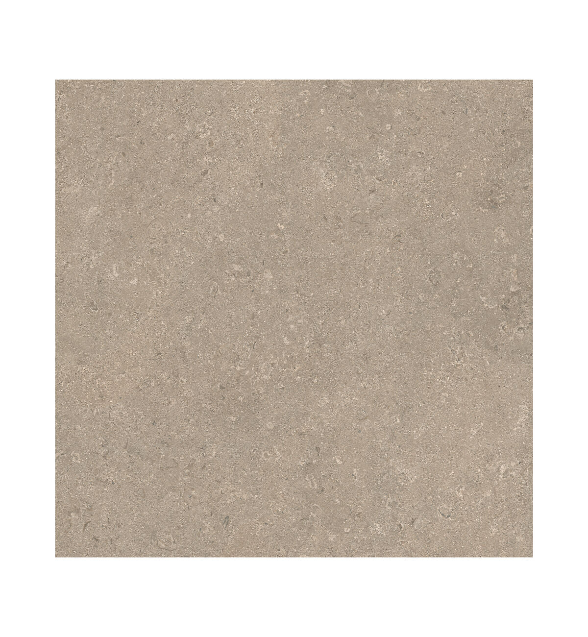 Portland Dorset Sand Tile - 60 x 60