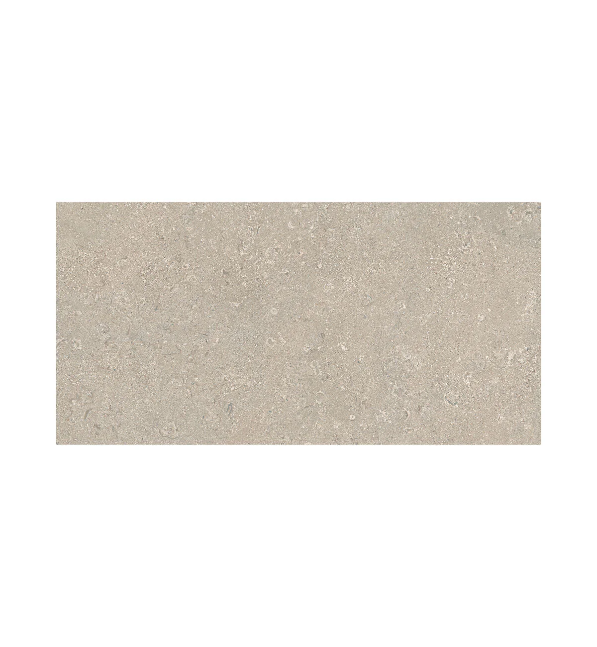 Portland Ivory Cliff Tile - 60 x 120