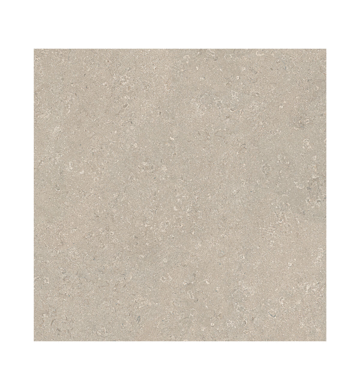 Portland Ivory Cliff Tile - 60 x 60