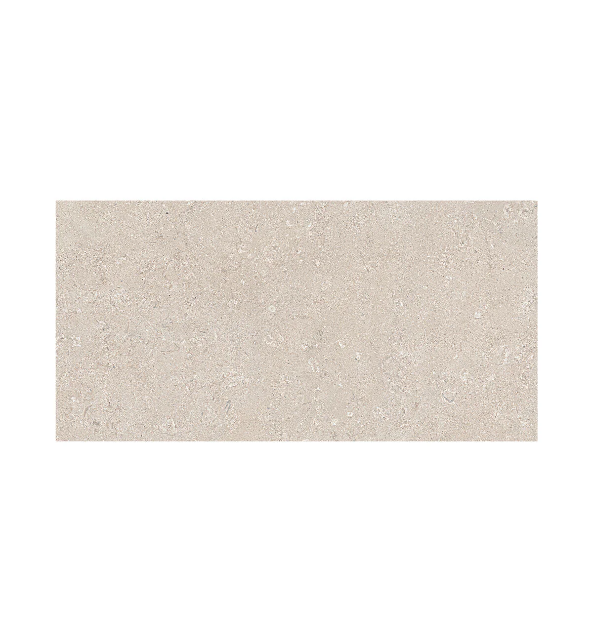 Portland Pearl Haven Tile - 60 x 120