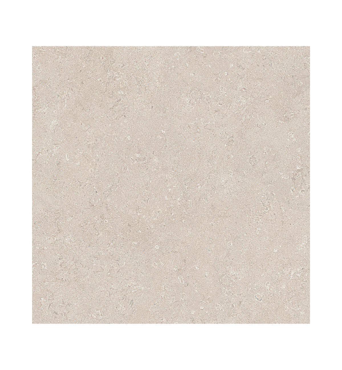Portland Pearl Haven Tile - 60 x 60