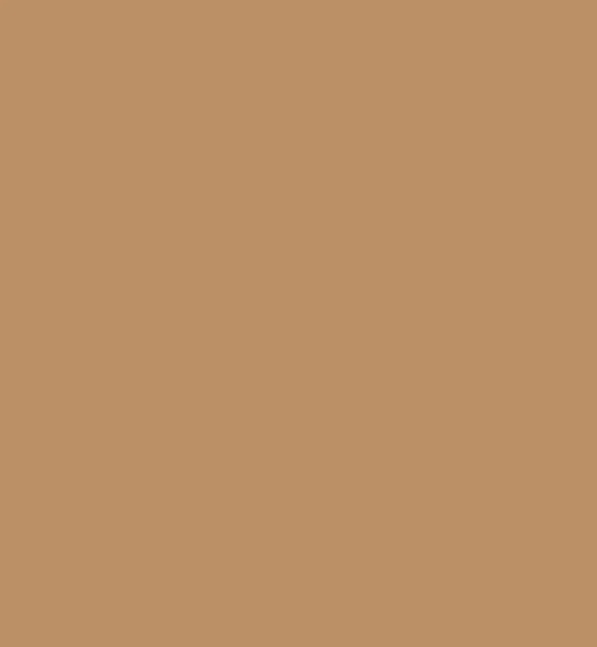Raw Amber Paint