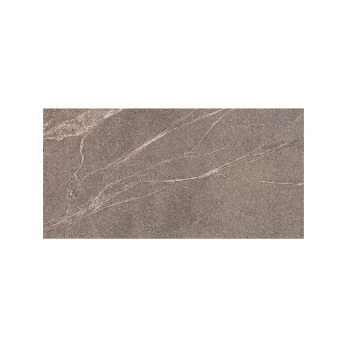 Rimini Taupe 60 x 120