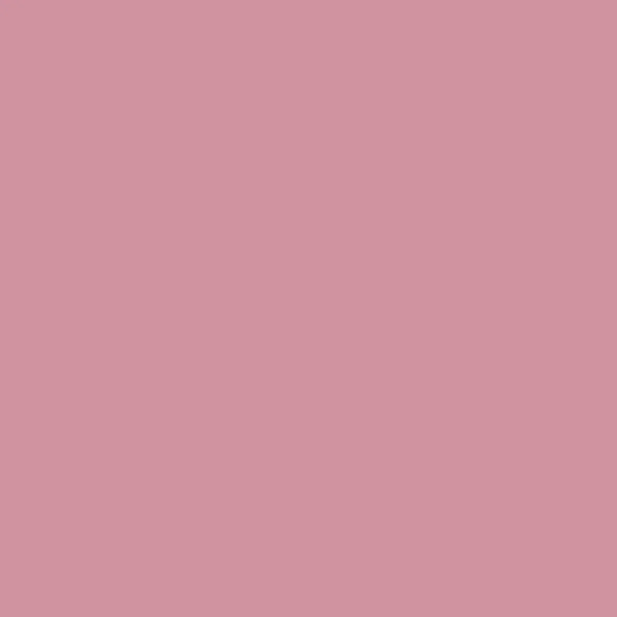 Rose Bay 50ml Sample Pot