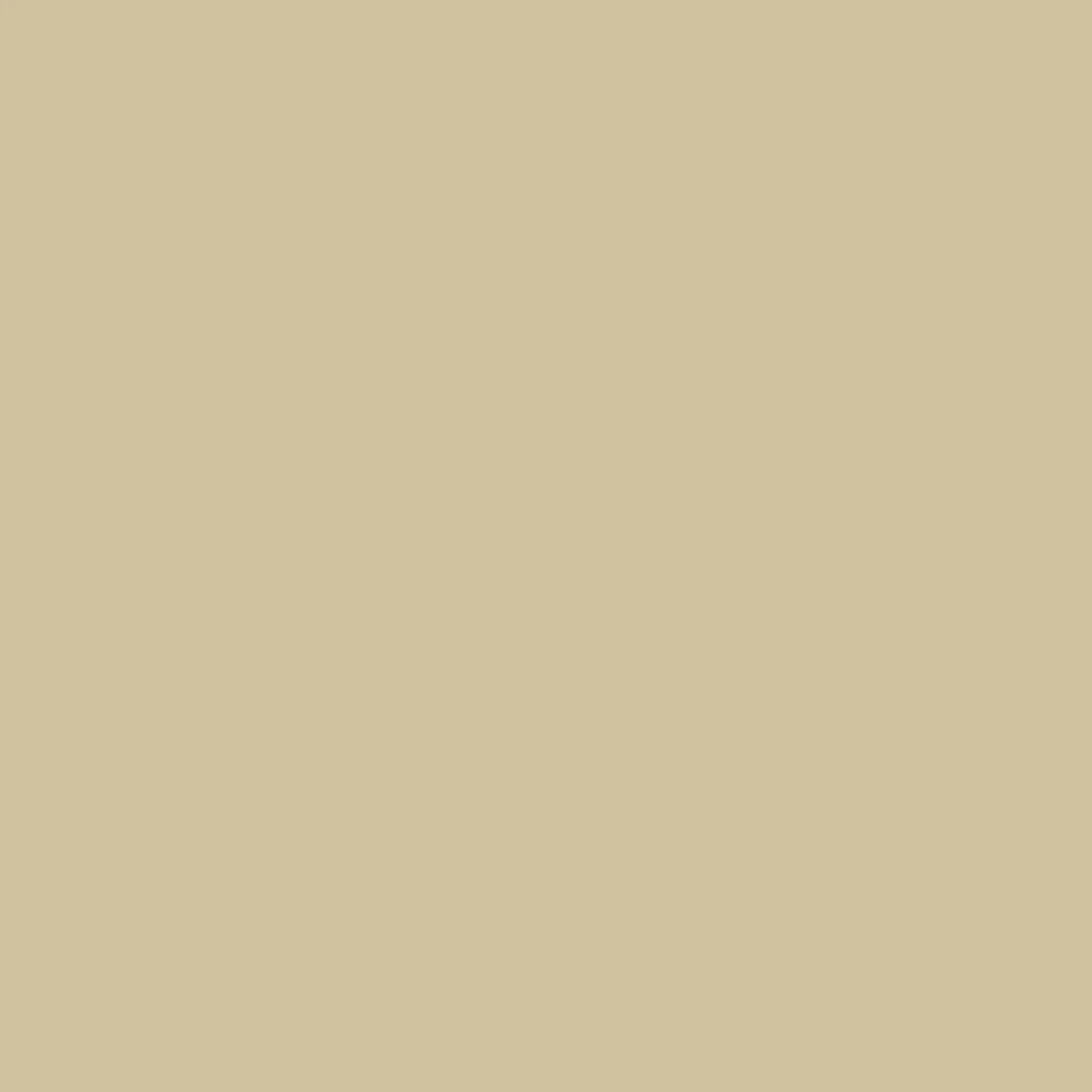 Stone Ochre 50ml Sample Pot
