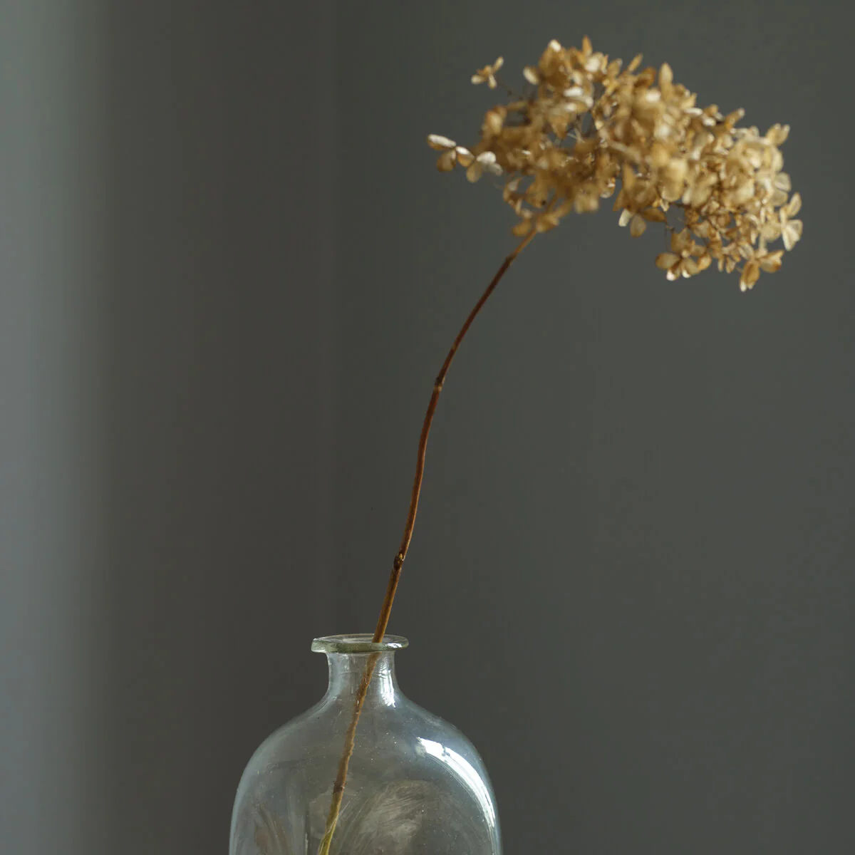 Storm - Image 4