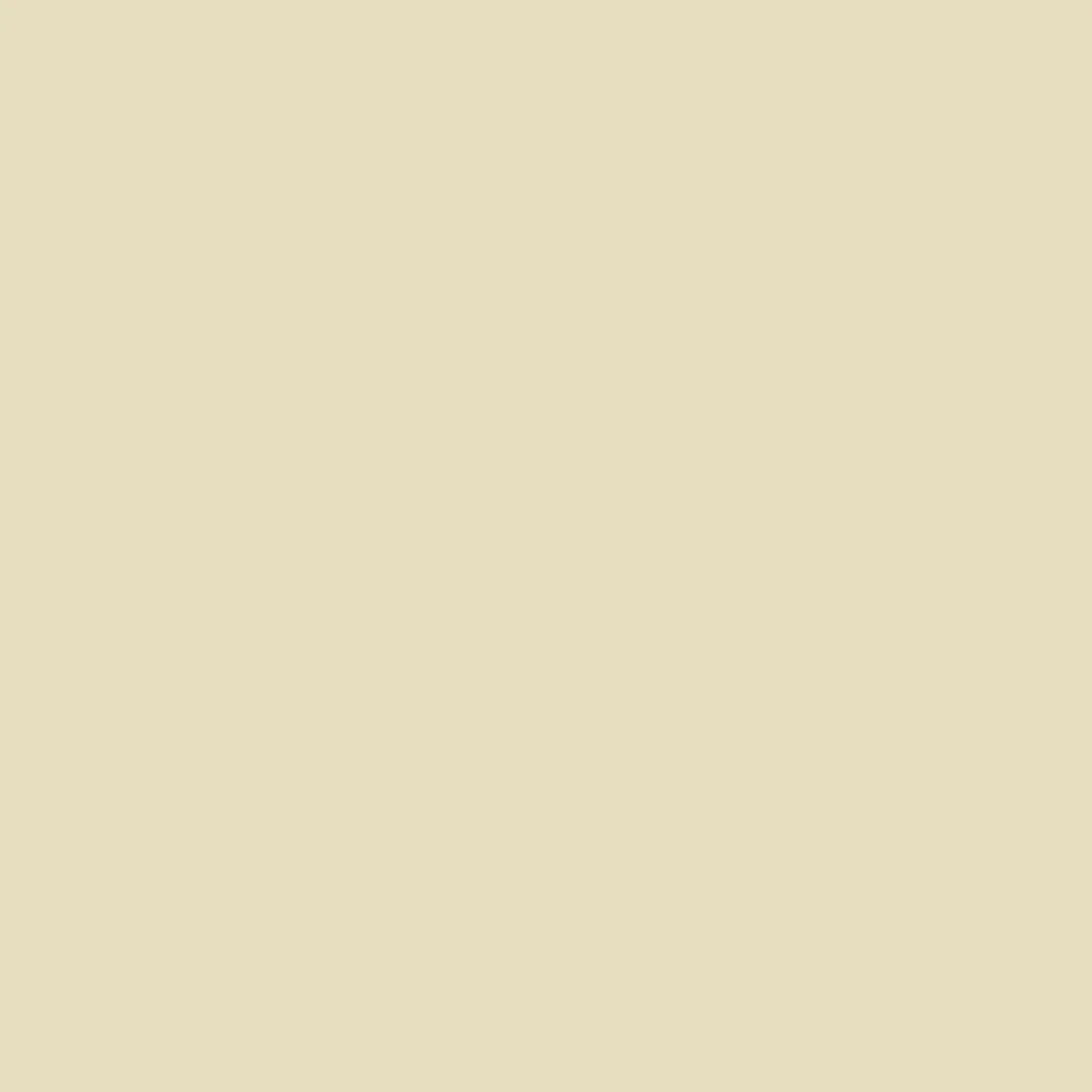 White Ochre 50ml Sample Pot
